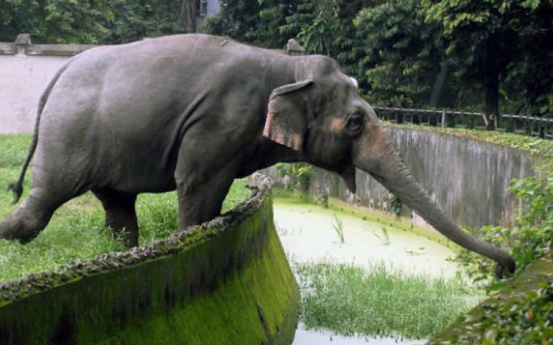 Kakatiya Zoological Park, Warangal