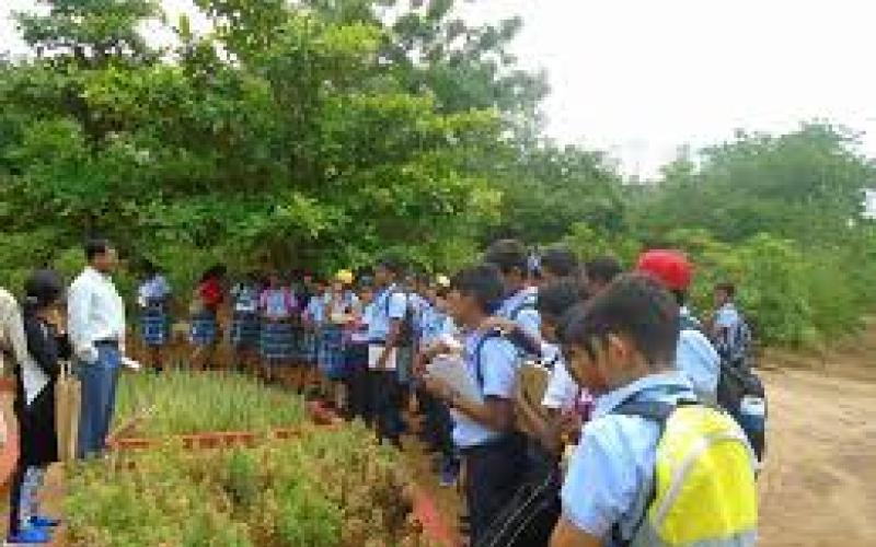 Telangana State Forest Academy