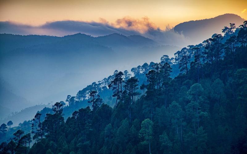 Ranikhet