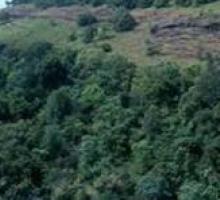 Vikarabad Reserve Forest Area 