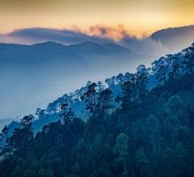 Ranikhet