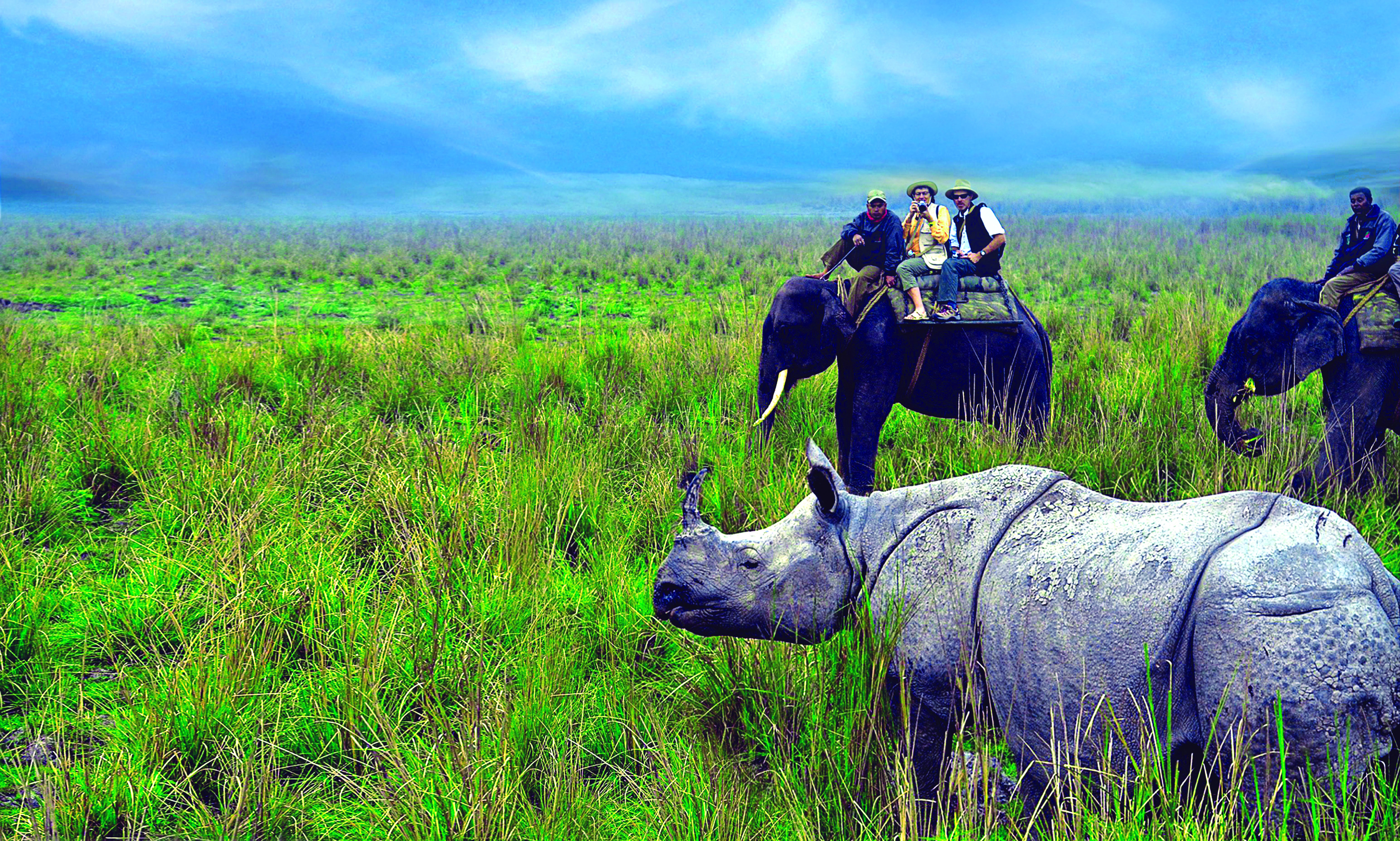 Visit Kaziranga National Park in India | Audley Travel UK